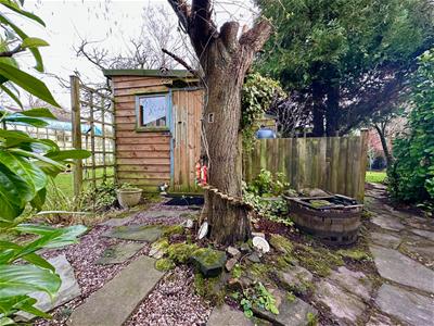 Picture 46